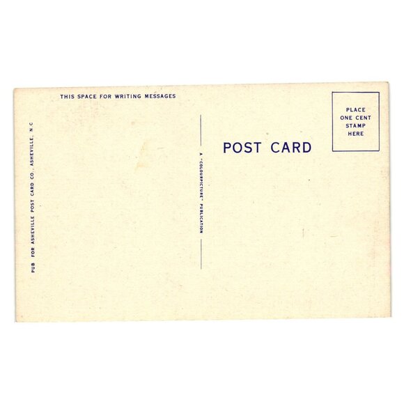 A Gorgeous Poinsettia Hedge Florida Vintage Postcard Asheville Post Card Co NC - Picture 2 of 2